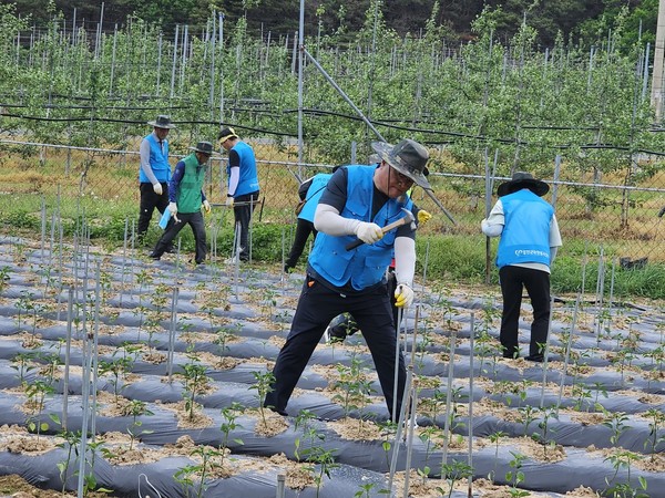 전라남도자원봉사센터 영남권 산불피해 온기나눔 자원봉사 활동( 사진: 전라남도자원봉사센터 제공)